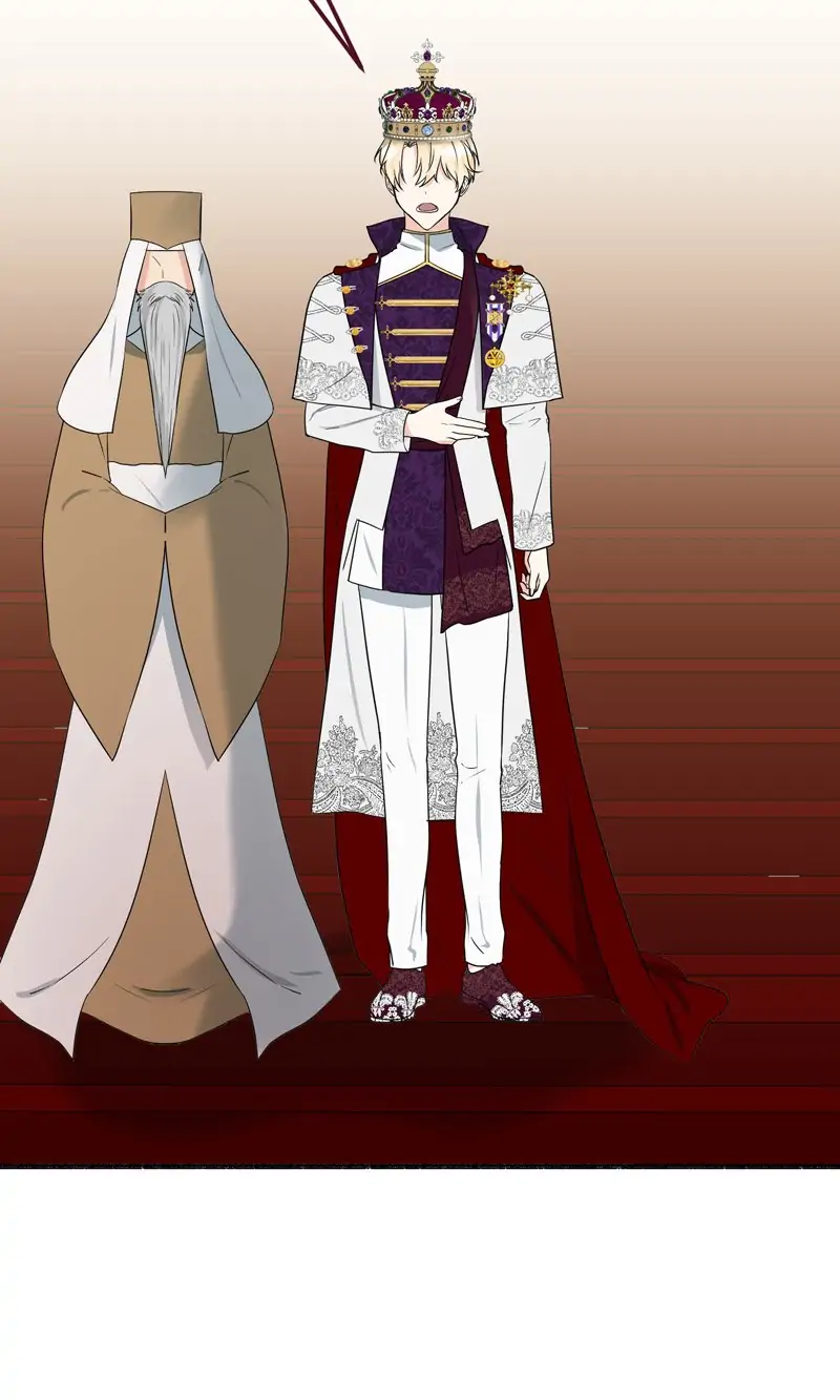 32997804 800 1333 45950