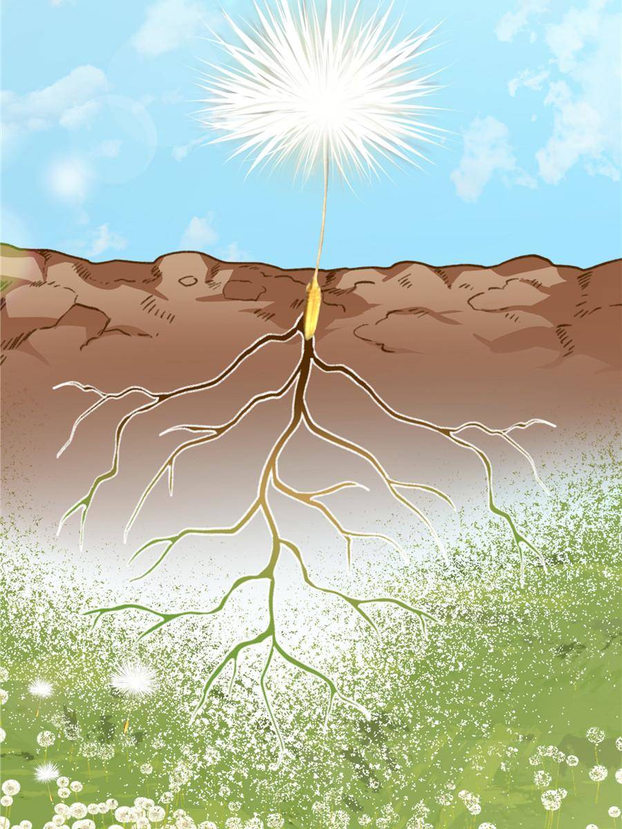 75773956 900 1200 161270