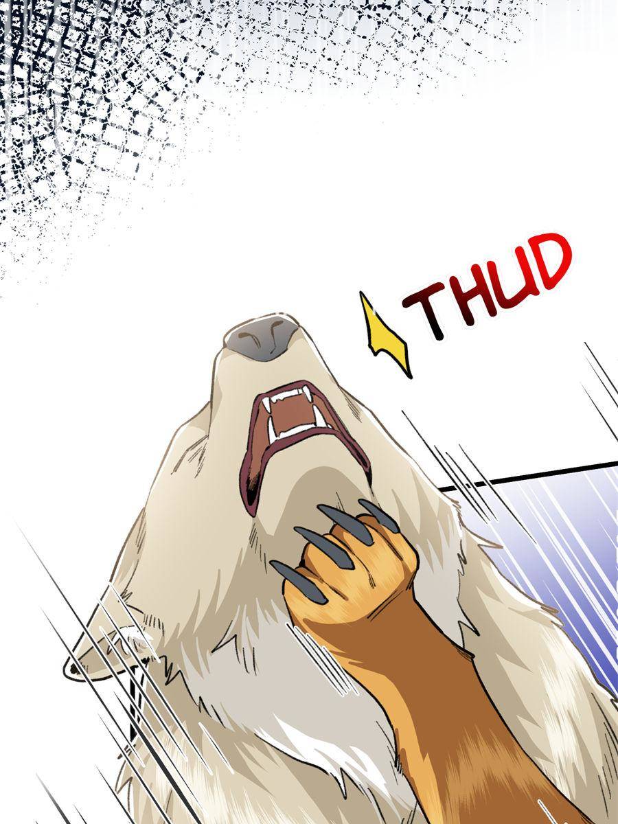 81490544 900 1200 144340