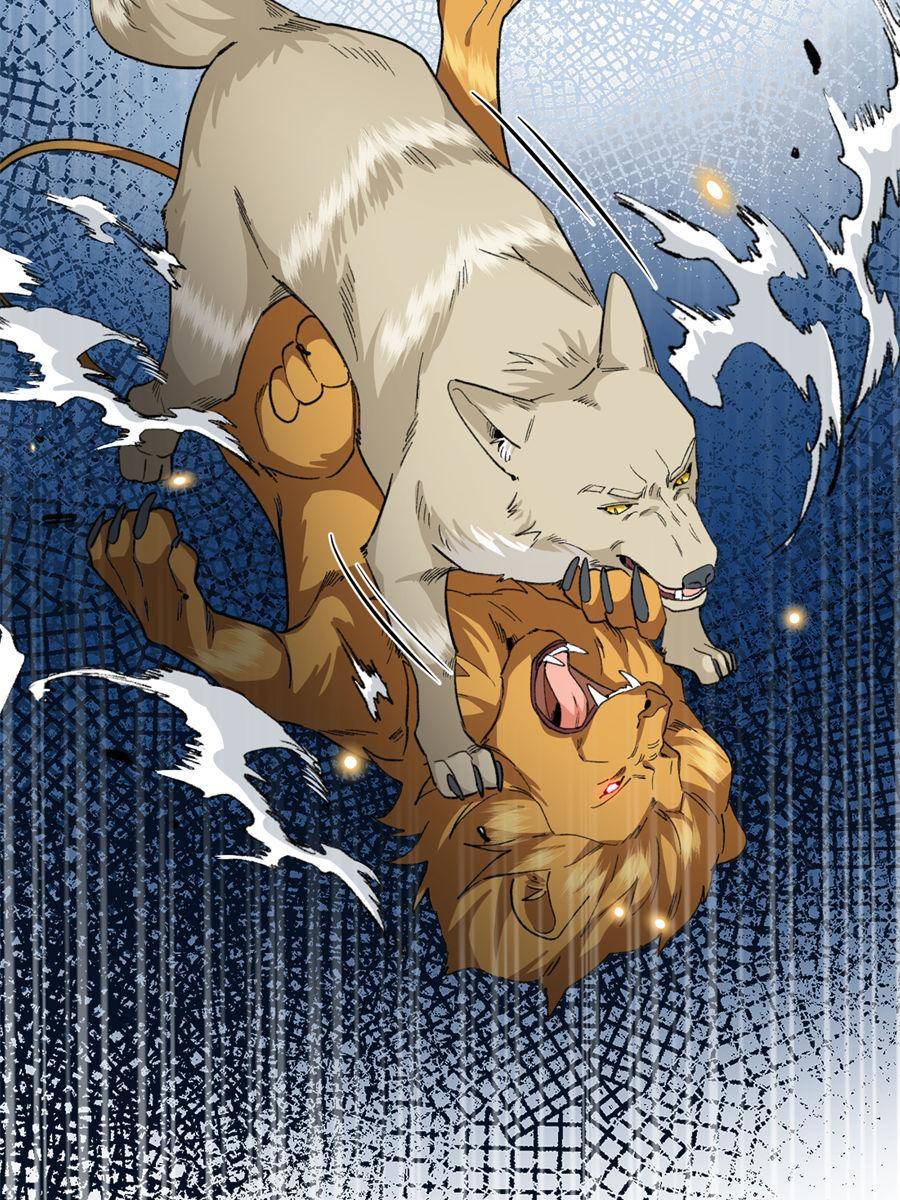 81490550 900 1200 279403