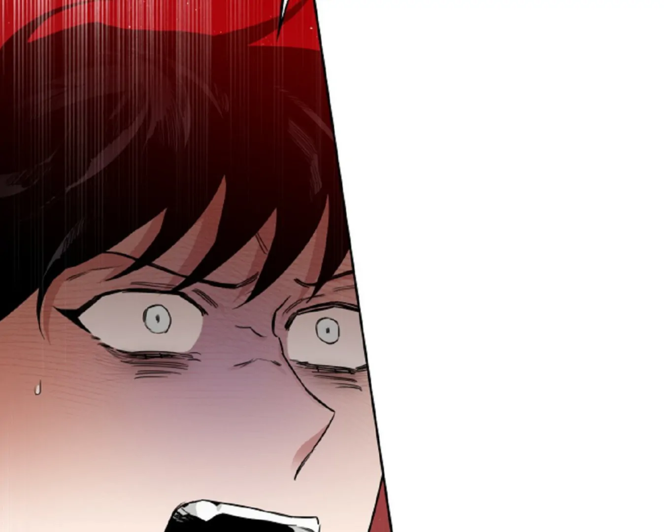 71202153 1348 1080 31480